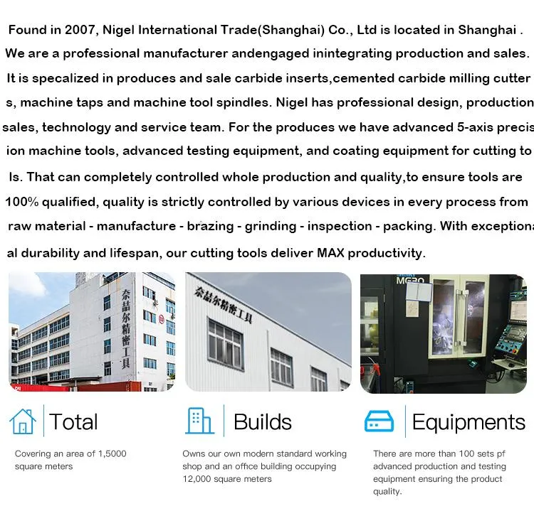 Nigel CNC Tnga160402 Tools PCBN One Tip CBN Insert Cutting Tool